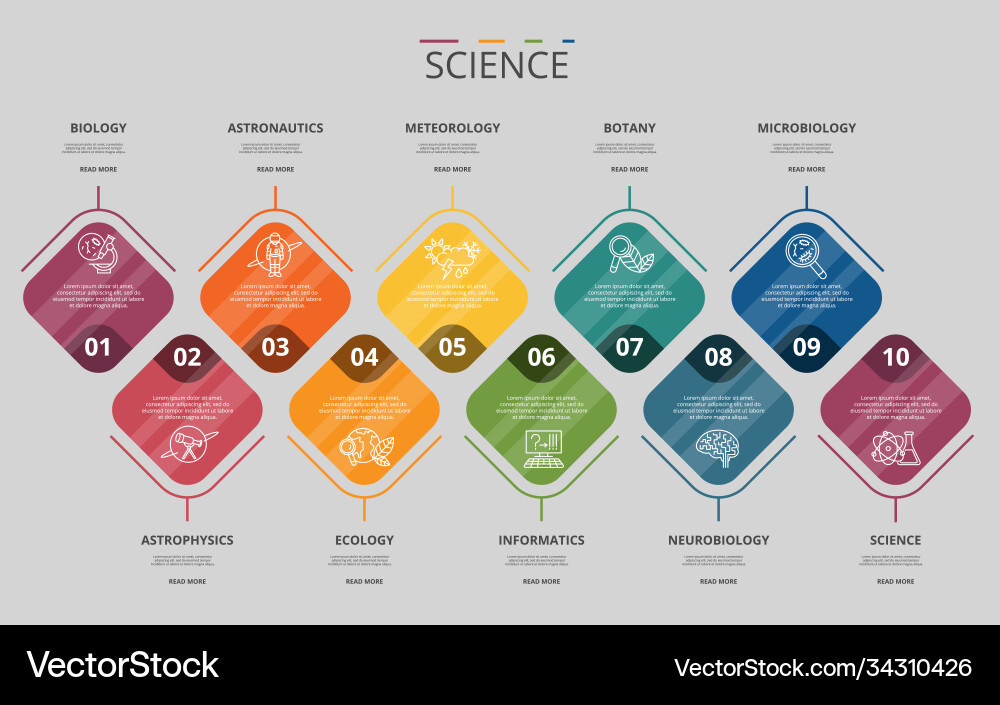 Infographic science template icons in different vector image