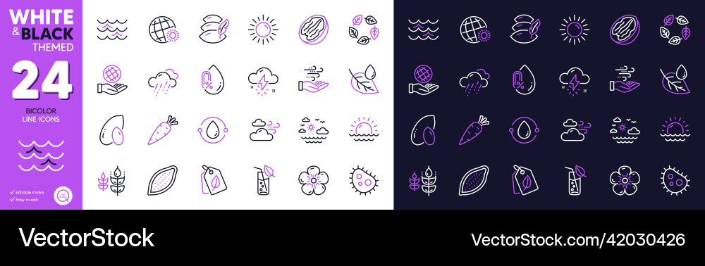 Sunset natural linen and pecan nut line icons Sunset natural linen and pecan nut line icons vector image