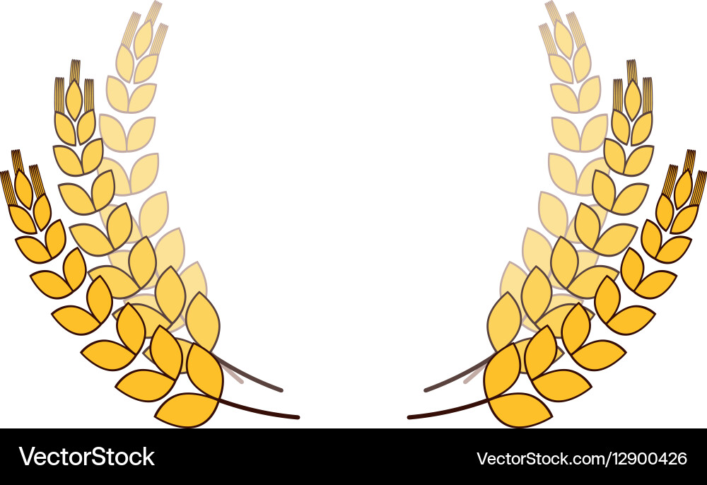 Wheat branches icon image design vector image