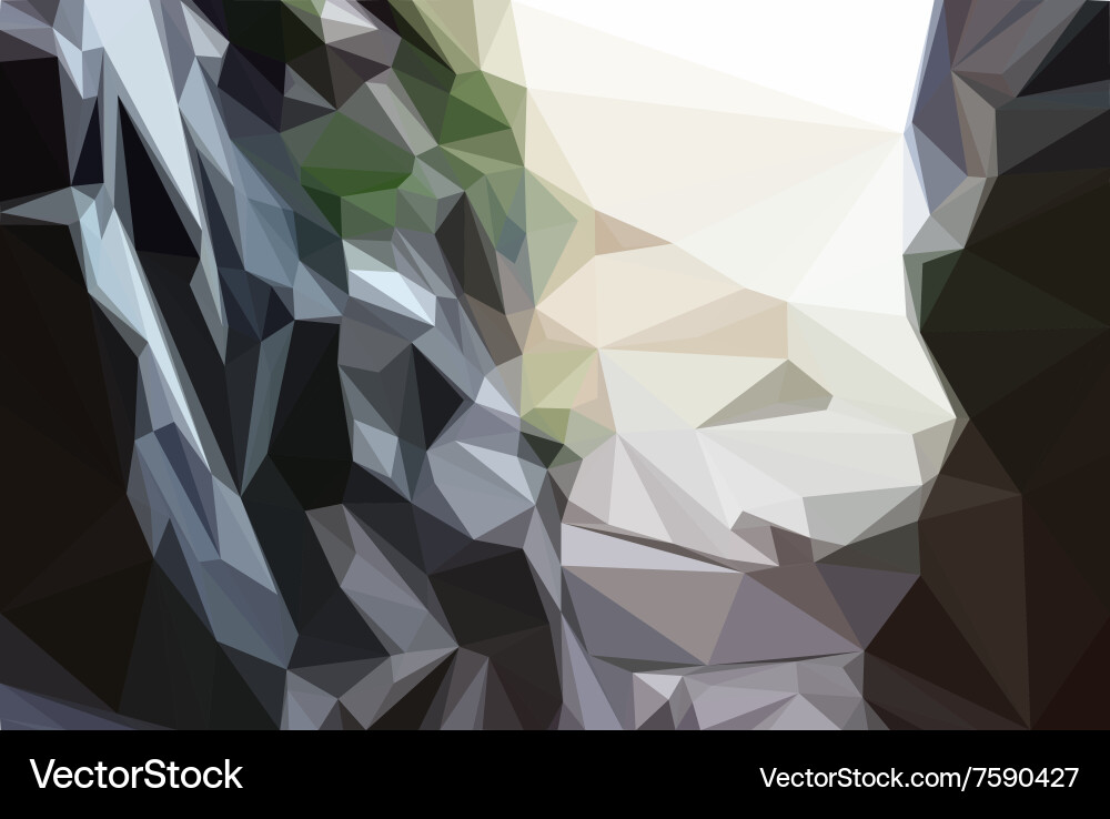 Grey Geometric Triangle Pattern vector image