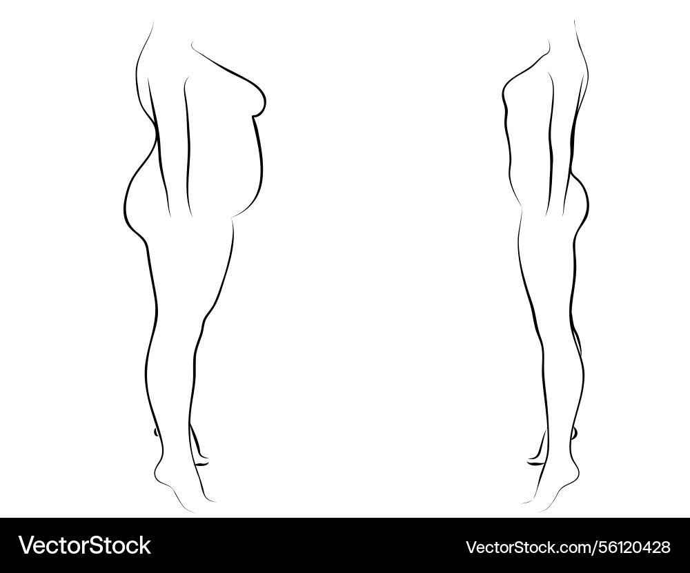 Conceptual fat overweight obese female vs slim Conceptual fat overweight obese female vs slim vector image