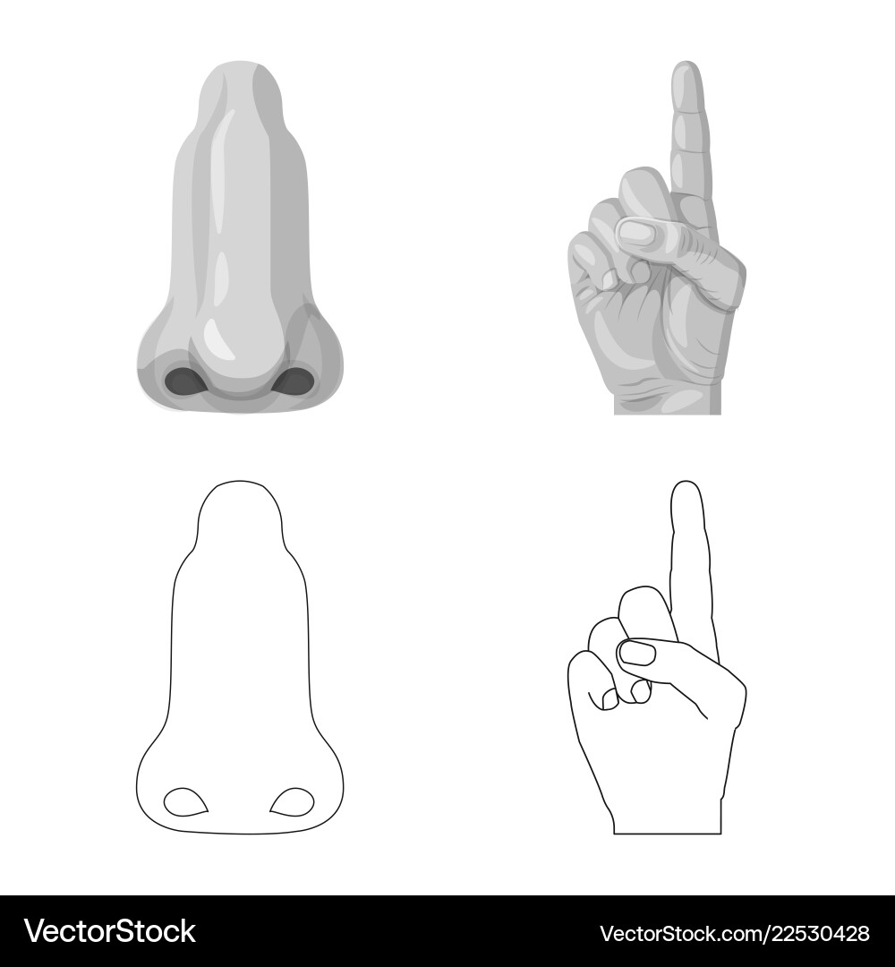 Isolated object of human and part icon collection vector image