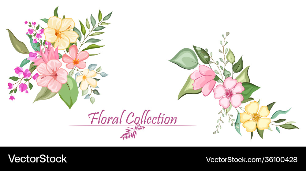 Set floral branch with flower and green leaves Set floral branch with flower and green leaves vector image