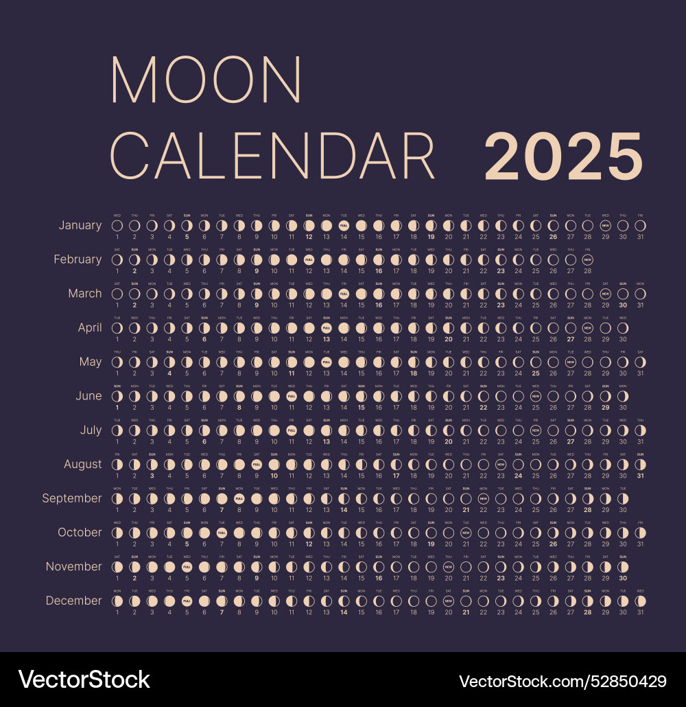 moon-calendar-for-2025-year-royalty-free-vector-image