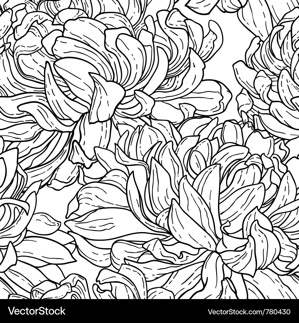 Floral Chrysanthemum Pattern Vector Image