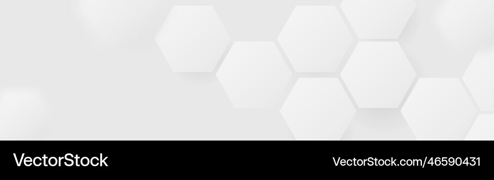 White Hexagon Pattern Background vector image