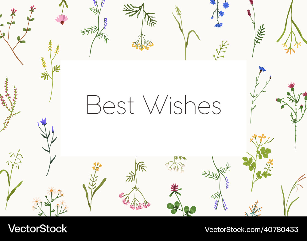 Floral card design with wild flower frame Floral card design with wild flower frame vector image