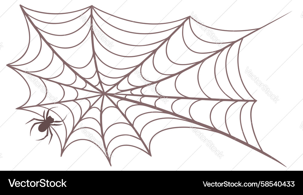 Geometric Spider Web Pattern Vector Image