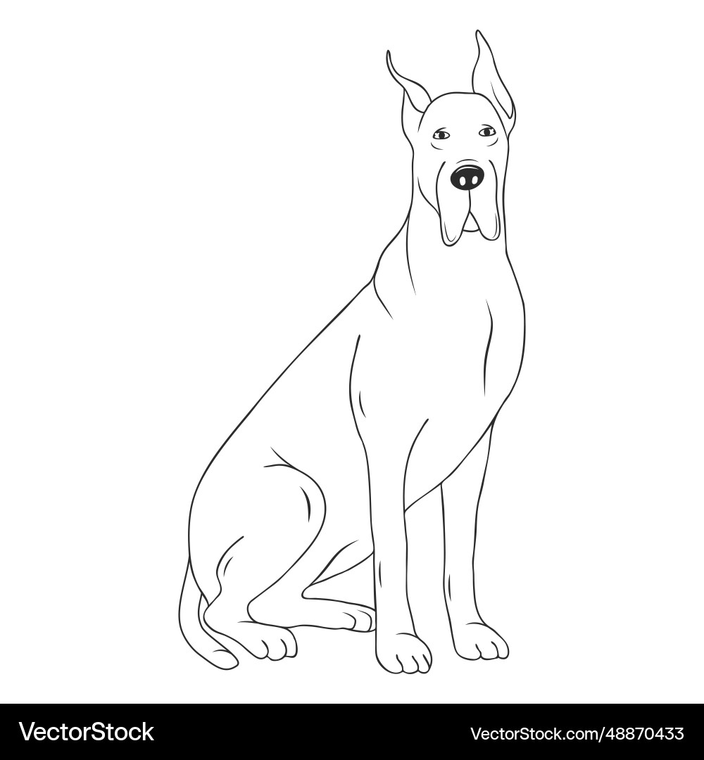 Great dane dog stroke Great dane dog stroke vector image
