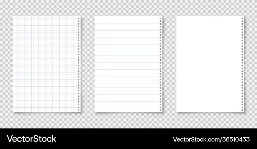 Realistic blank lined paper sheets in a4 format Realistic blank lined paper sheets in a4 format vector image