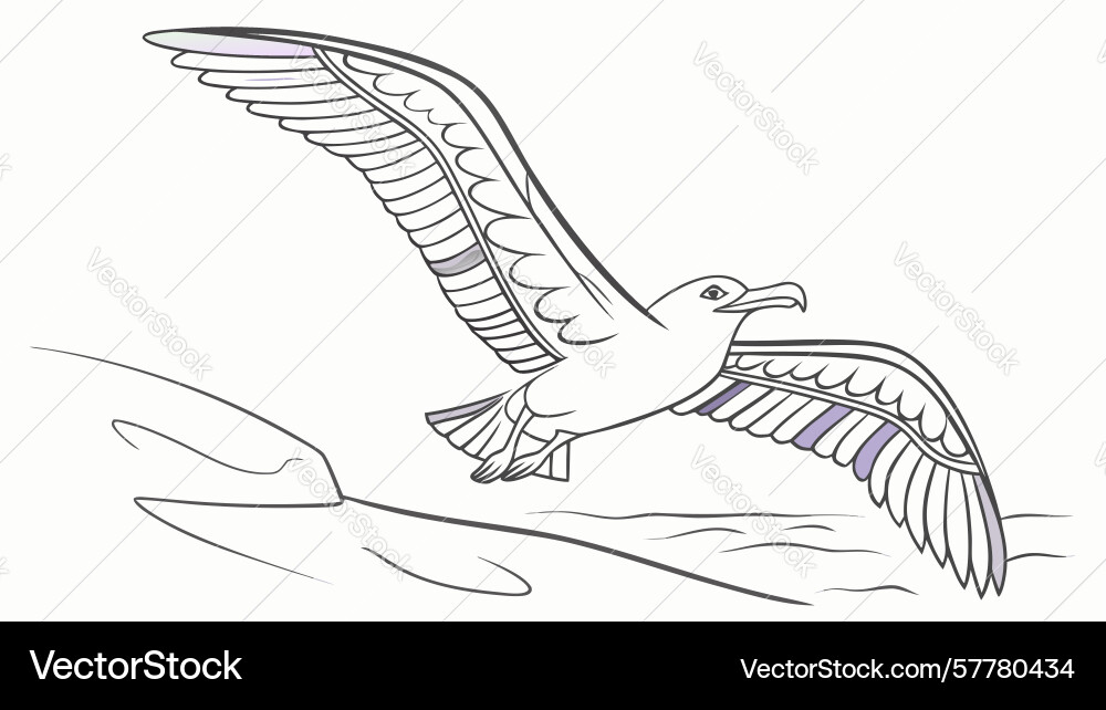 Dynamic line art sketch of a seagull in flight Vector Image