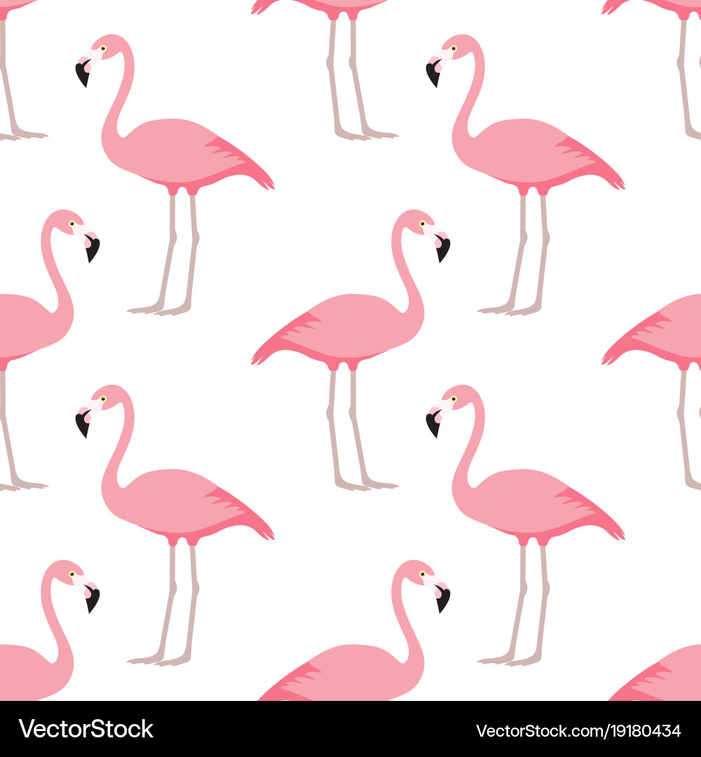 Flamingo seamless pattern vector image