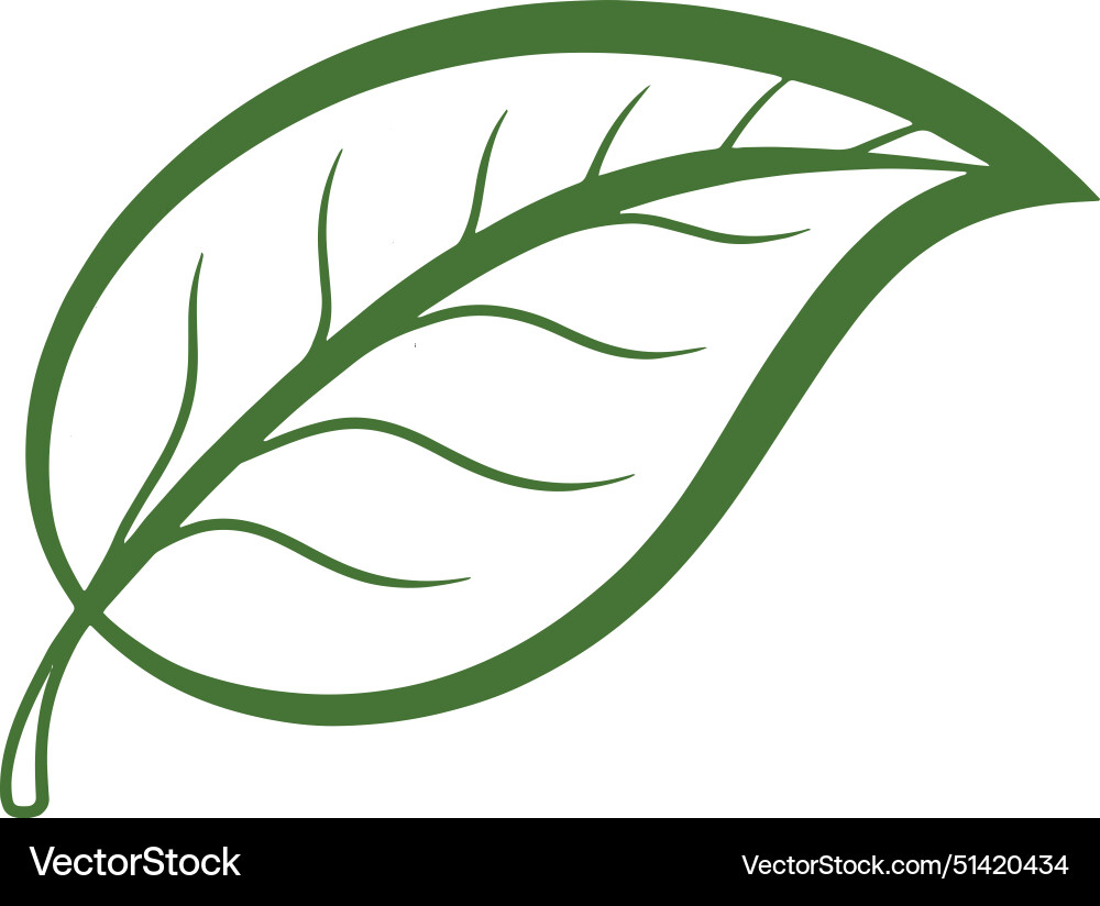 Leaf Royalty Free Vector Image - VectorStock