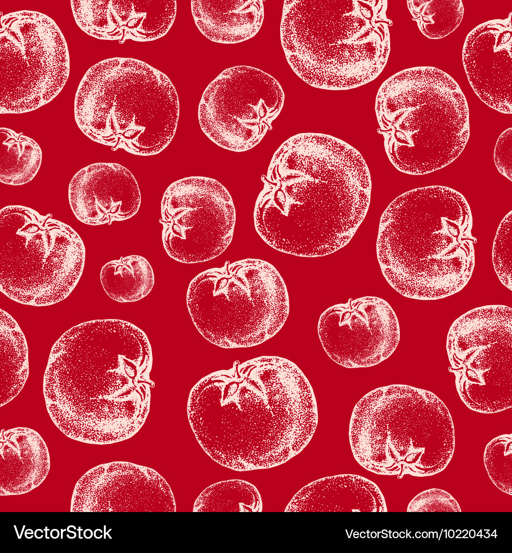 Tomato Sketch Seamless Pattern Vector Image