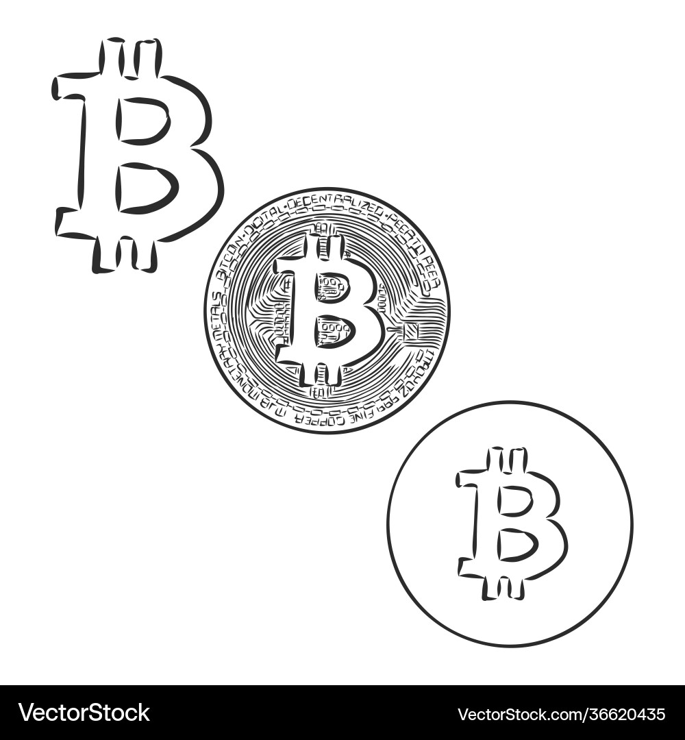 Isolated bitcoin sketch physical bit coin digital vector image