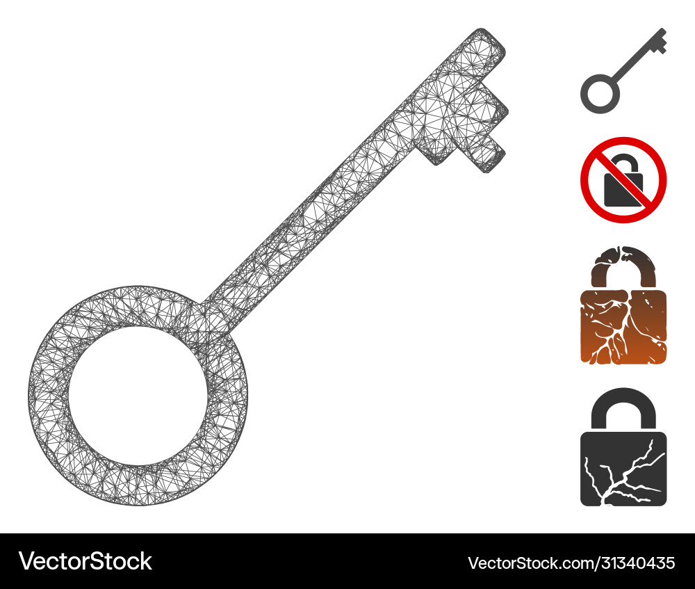Key web mesh Key web mesh vector image