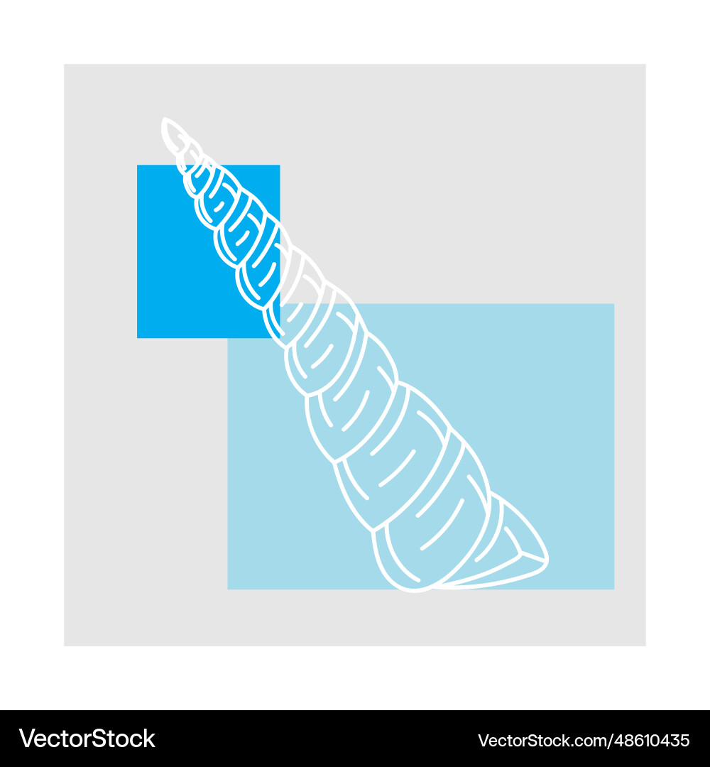 Line of shell with blue color on grey background Line of shell with blue color on grey background vector image