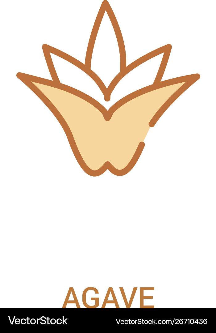 Agave concept 2 colored icon simple line element Vector Image