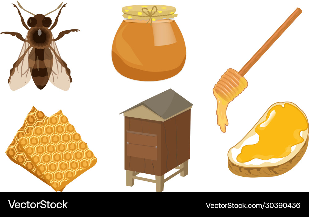 Set different objects honey production Vector Image