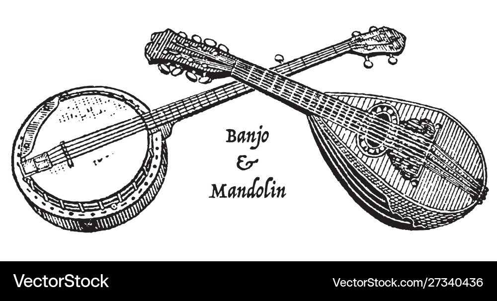 Vintage engraving a banjo and mandolin vector image