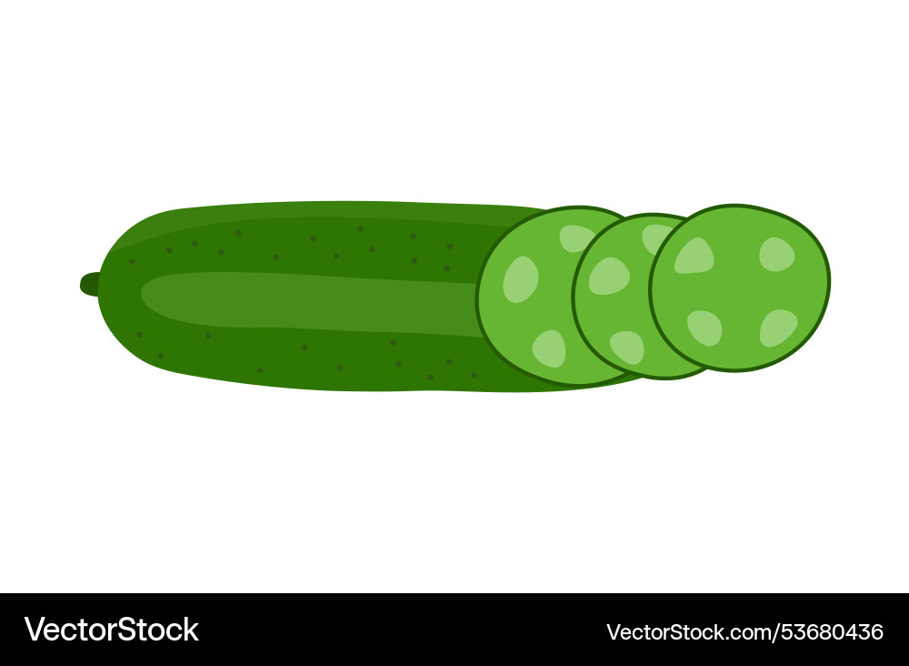 Whole cucumber with slices placed vector image