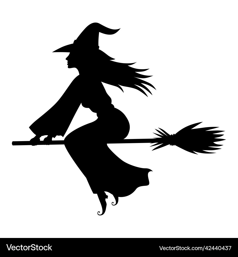 Halloween Witch Silhouette vector image