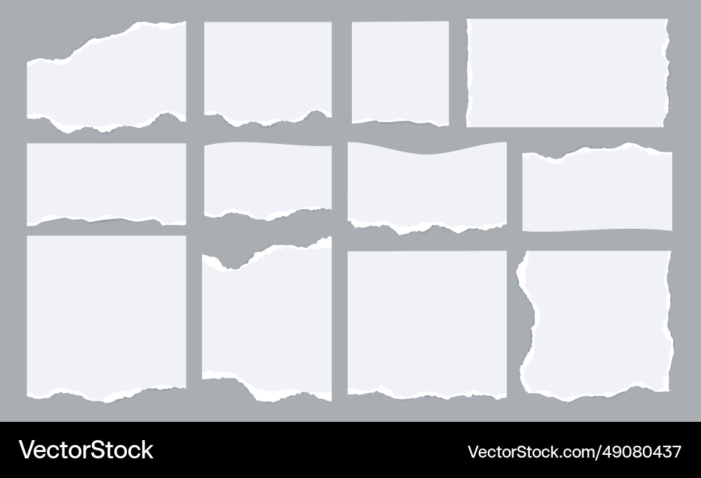 Notebook paper strips empty sheet borders vector image