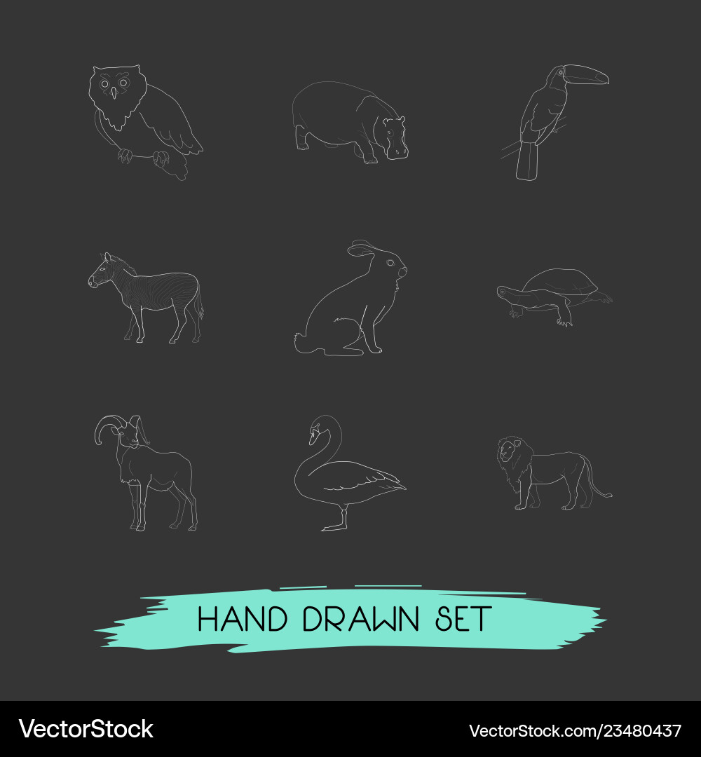Set of zoo icons line style symbols with ovis Set of zoo icons line style symbols with ovis vector image