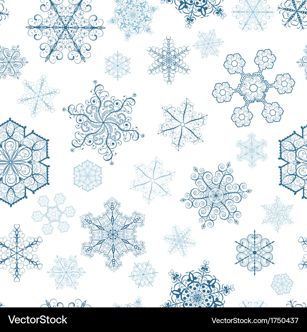Winter Snowflake Pattern Vector Image