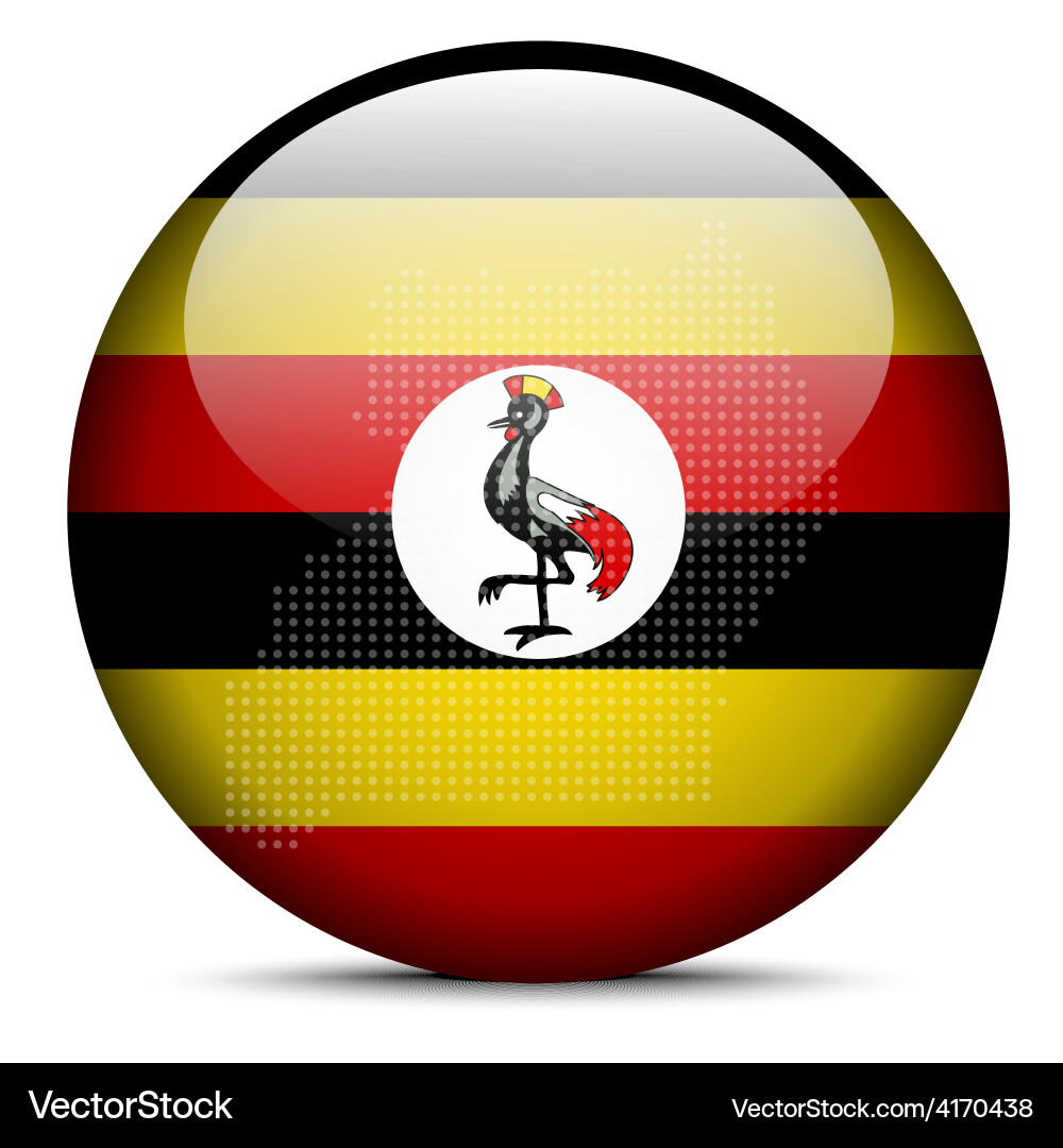Map with dot pattern on flag button of republic vector image