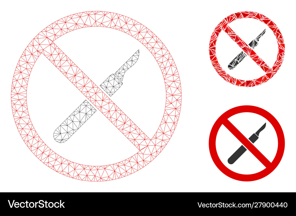 No scalpel mesh carcass model and triangle No scalpel mesh carcass model and triangle vector image