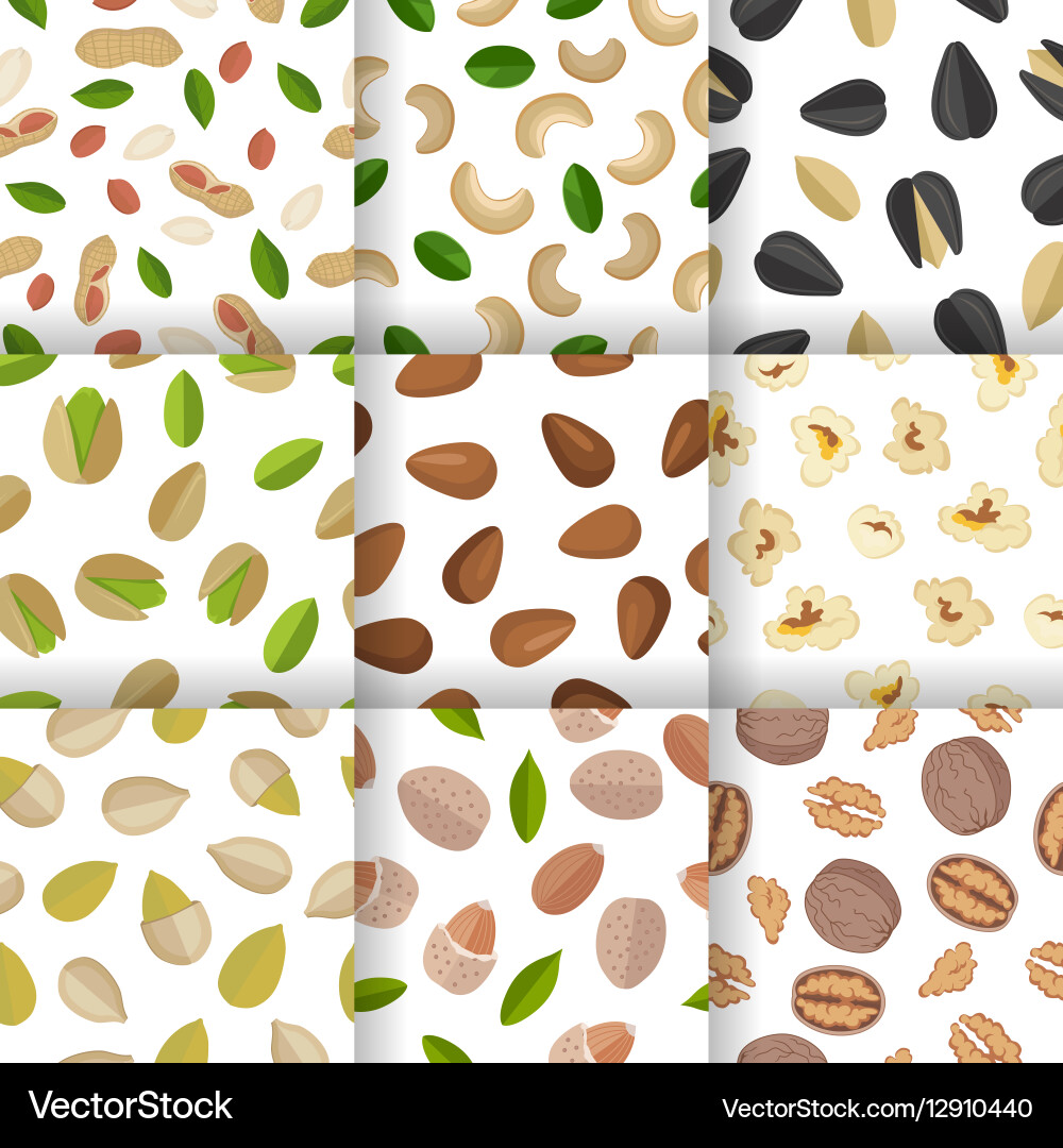 Nut and Seed Pattern Collection vector image
