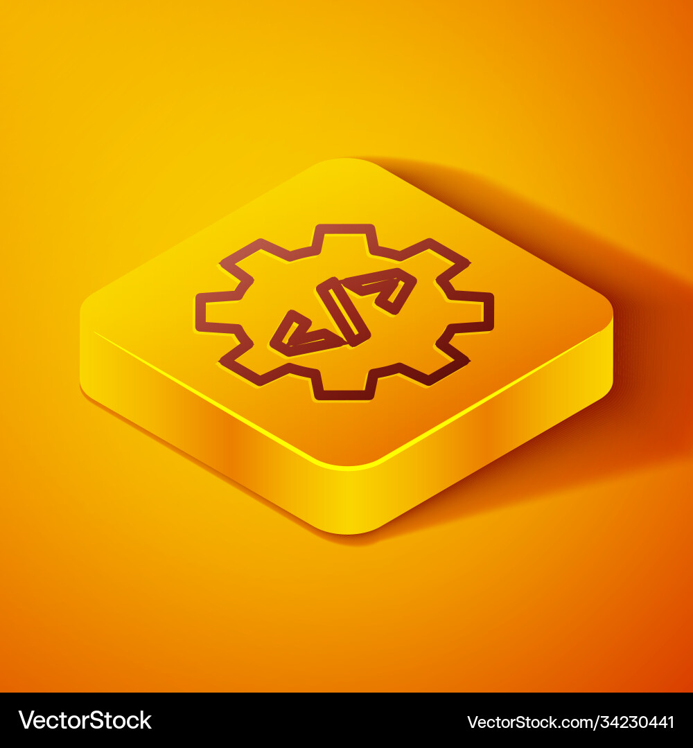 Isometric line web design and front end Isometric line web design and front end vector image
