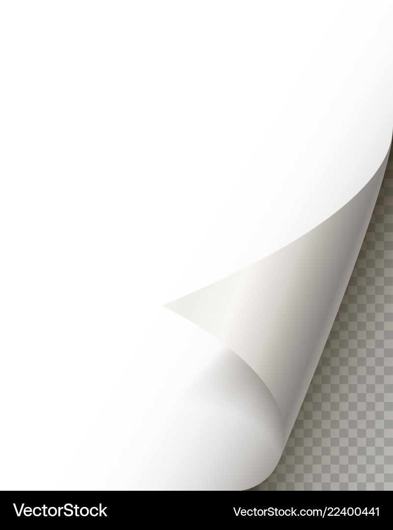 Page curl with shadow on blank sheet of paper Page curl with shadow on blank sheet of paper vector image