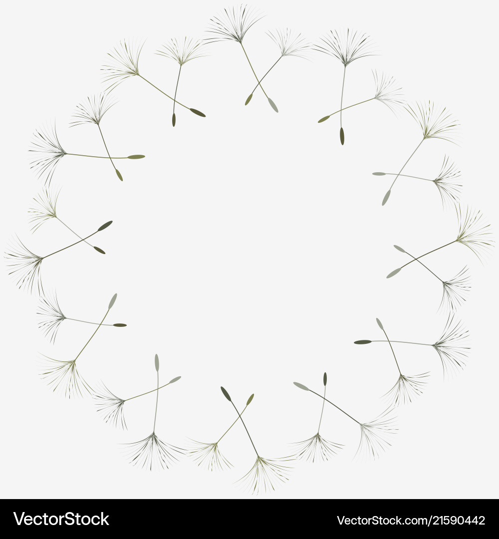 Abstract background of a dandelion for design Abstract background of a dandelion for design vector image