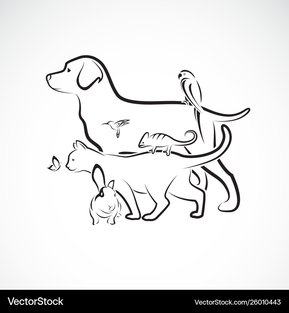 Adorable Pet Group - Dog, Cat, Parrot, Rabbit Vector Image
