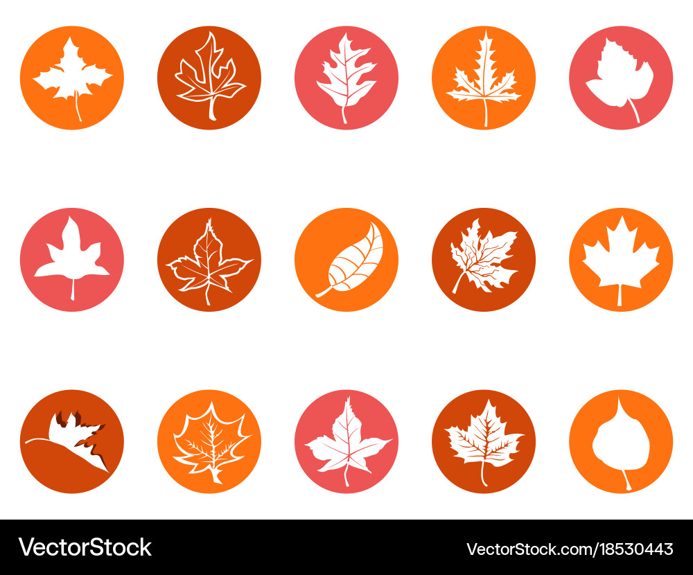 Maple leaf round button icons vector image