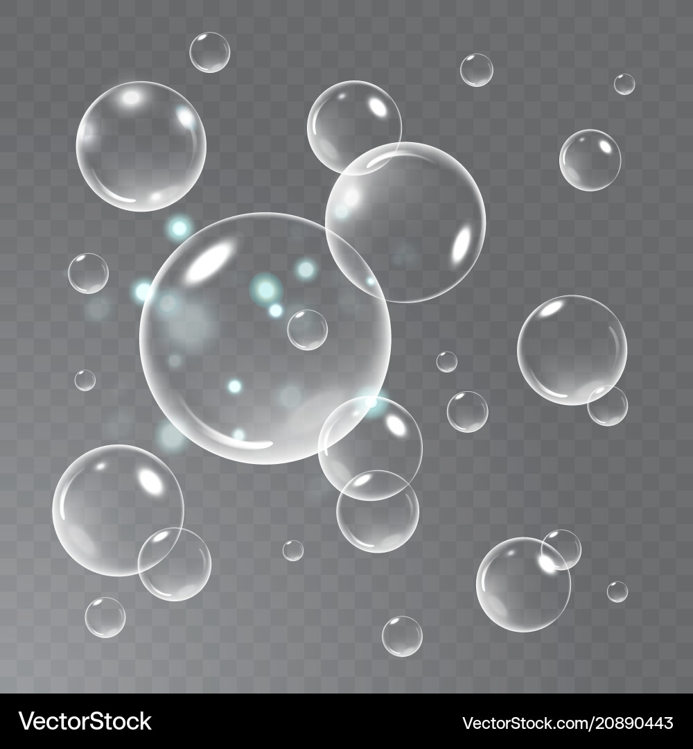 Realistic soap bubbles with reflection set Vector Image