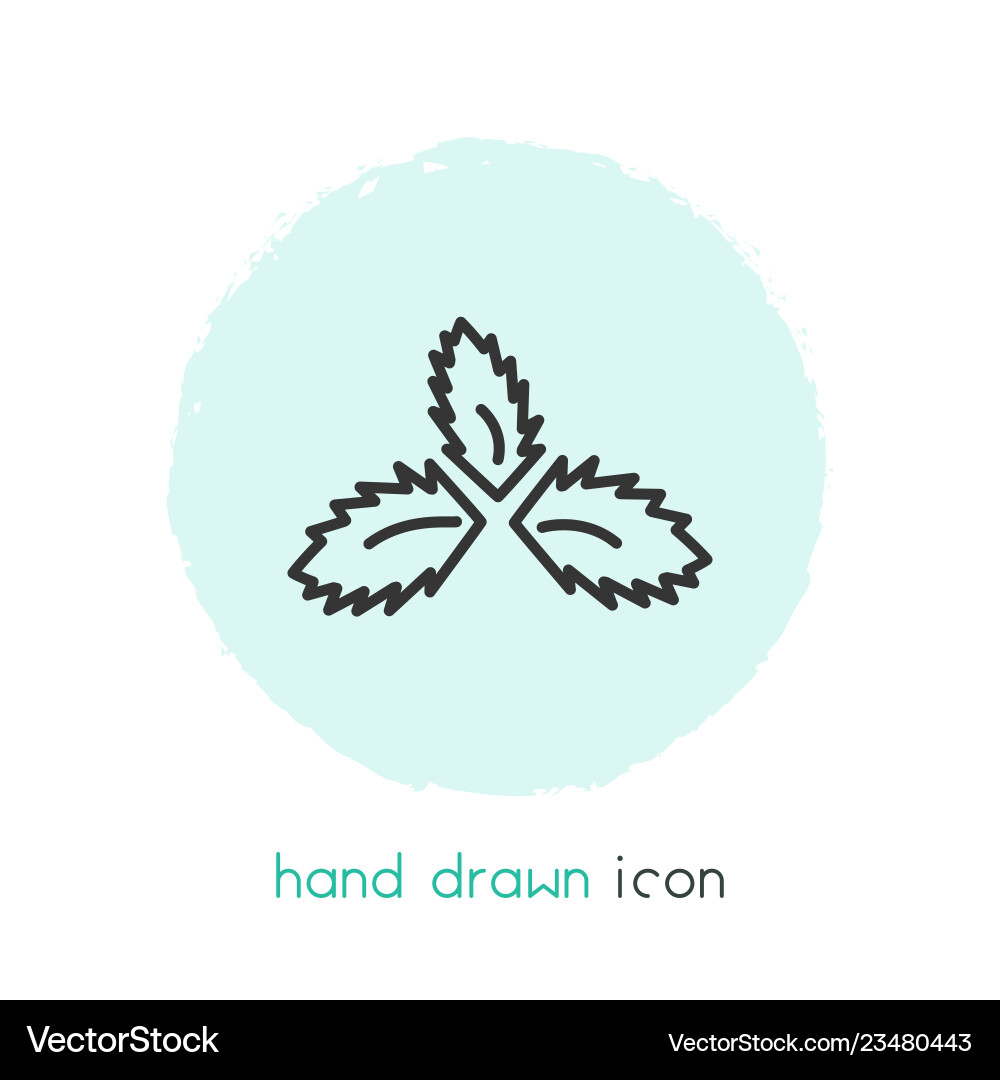Spearmint icon line element Vector Image