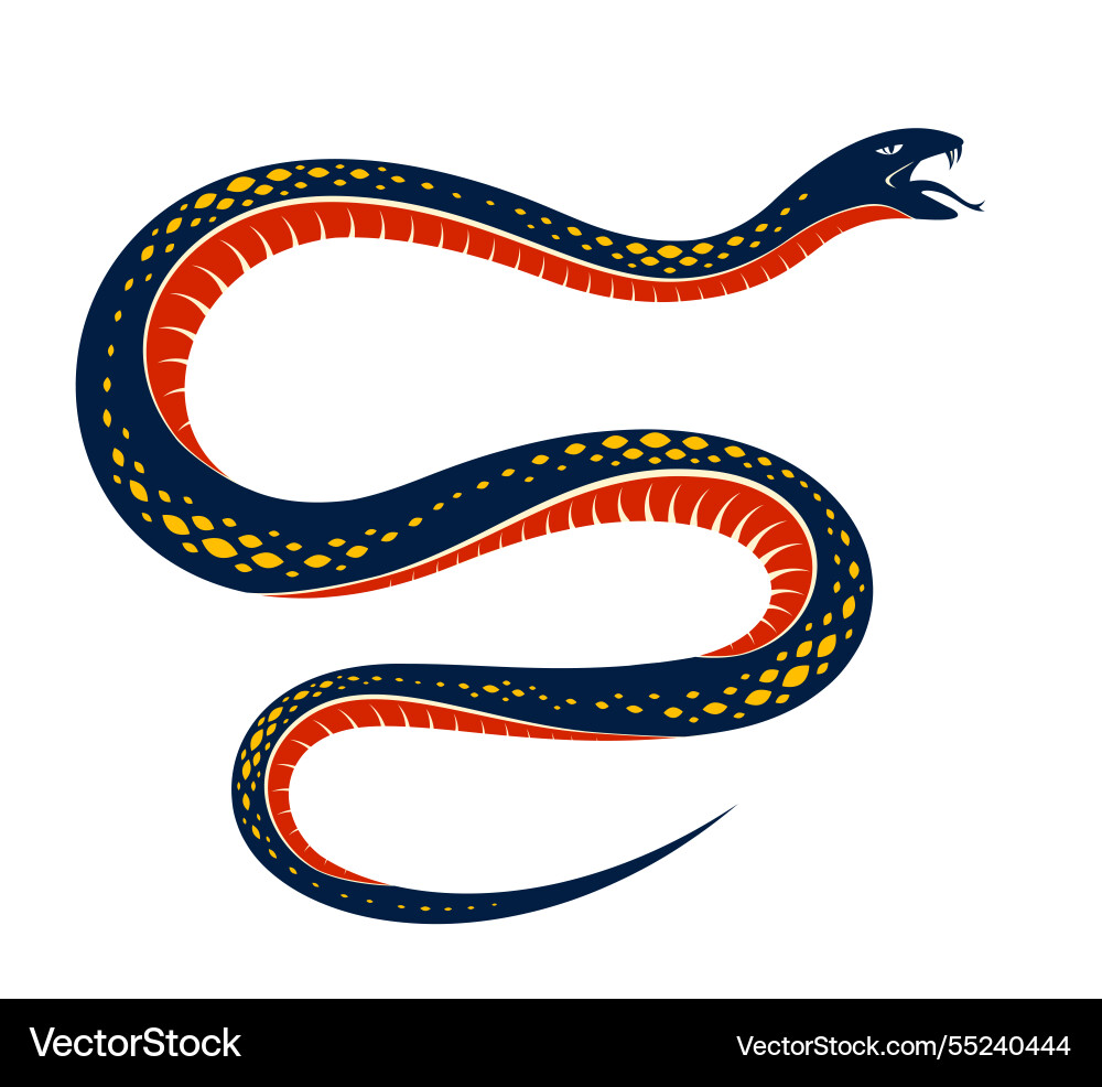 Snake tattoo deadly poison dangerous serpent Snake tattoo deadly poison dangerous serpent vector image