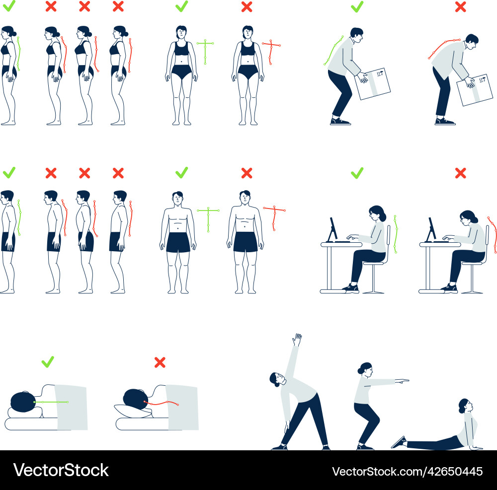 Correct positions posture infographics Correct positions posture infographics vector image