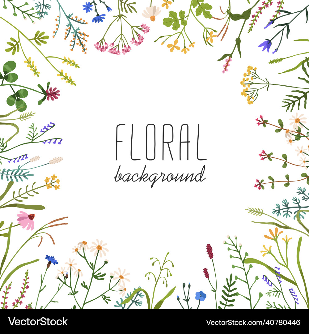 Floral background with wild flowers circle frame vector image