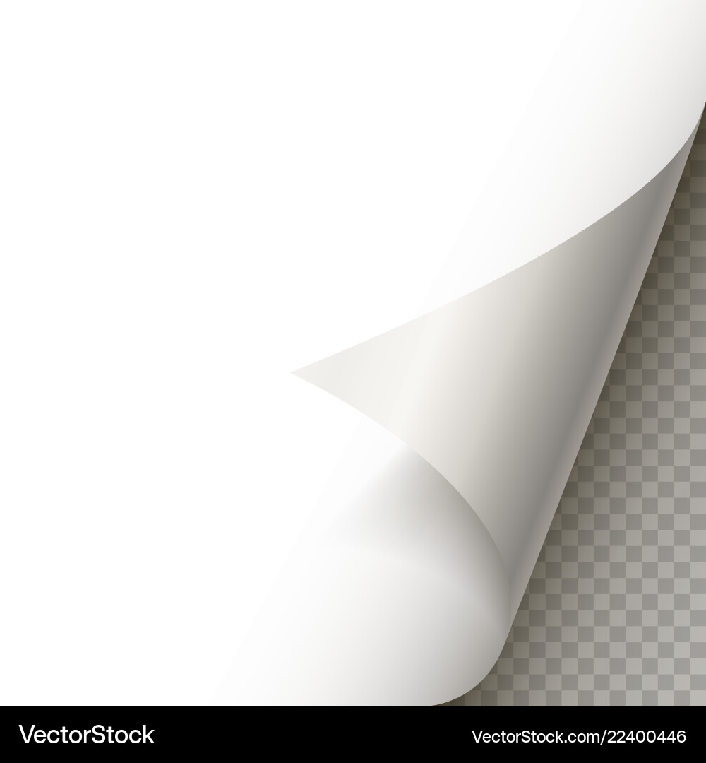 Page Curl with Shadow vector image