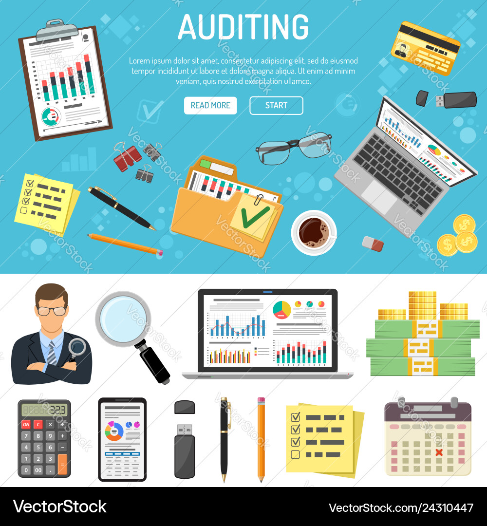 Auditing and business accounting infographics Vector Image