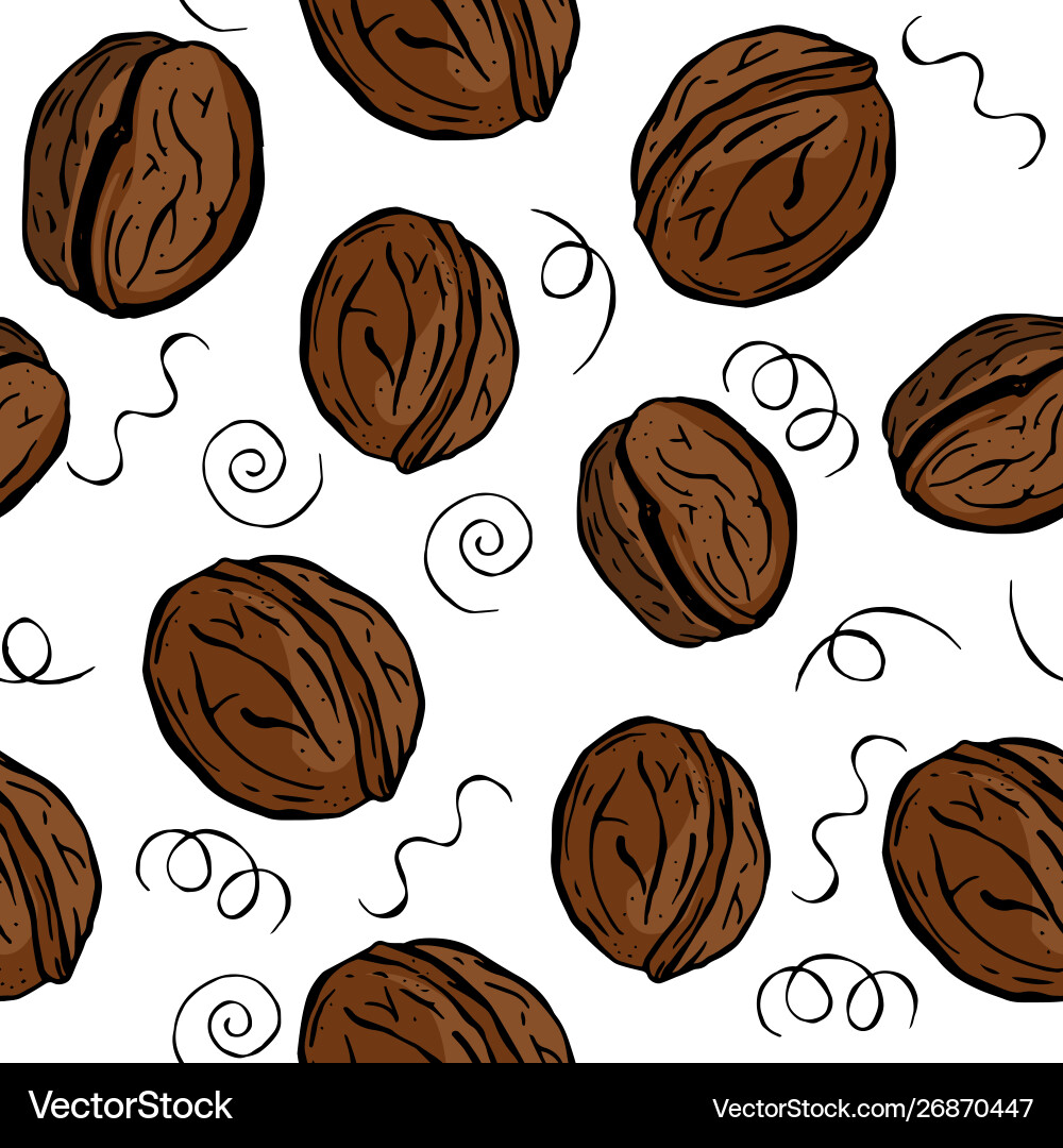 Walnut seamless pattern with walnuts background Vector Image