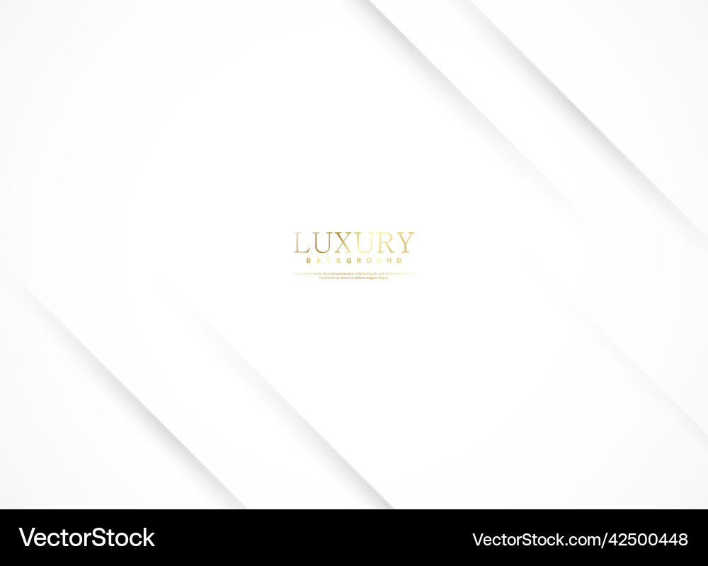 Luxury Abstract Pattern Background vector image