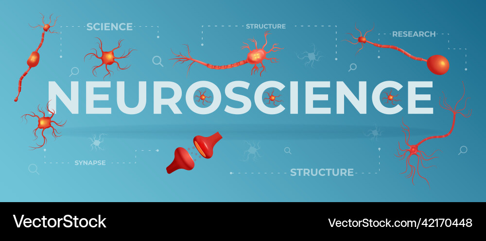 Neuroscience Background - Neural Networks vector image