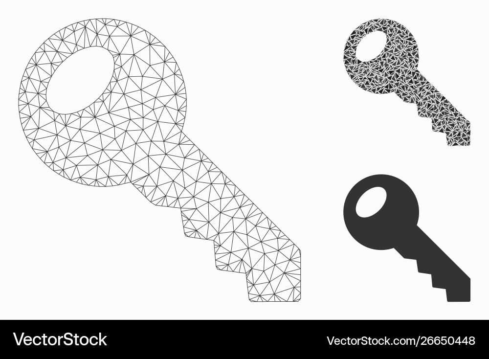 Room key mesh 2d model and triangle mosaic Room key mesh 2d model and triangle mosaic vector image