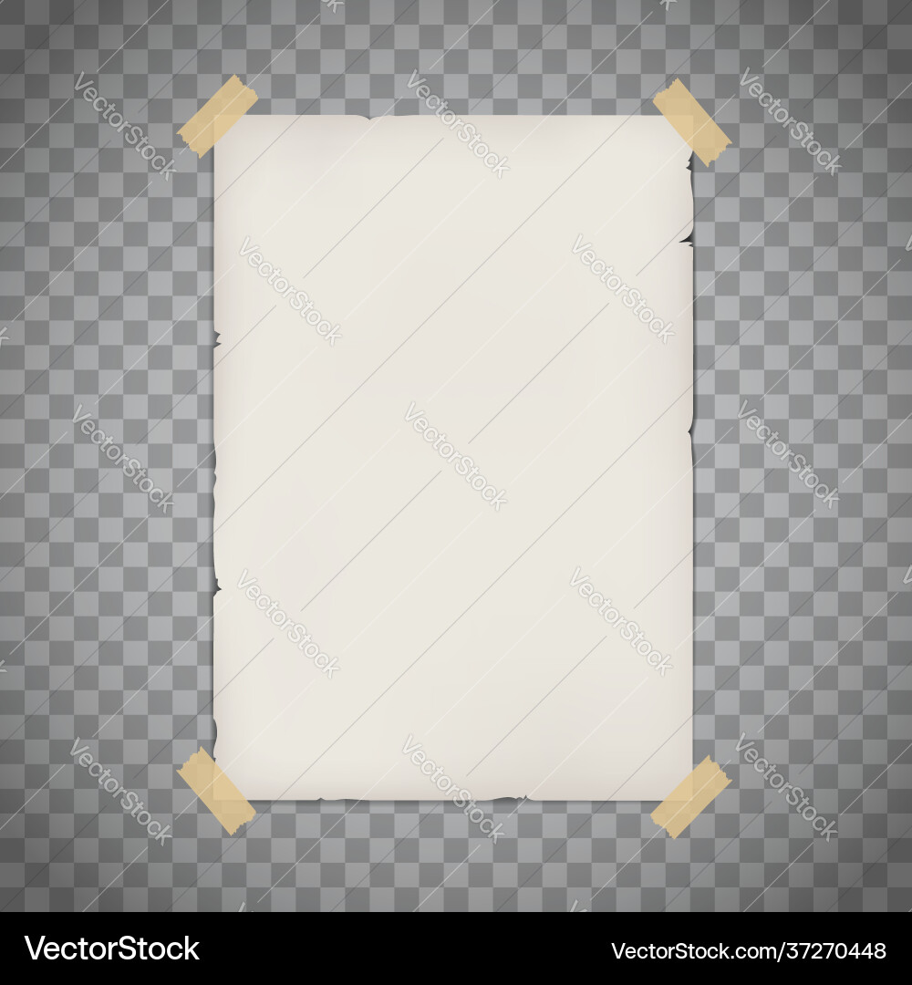 White blank paper poster mockup Royalty Free Vector Image