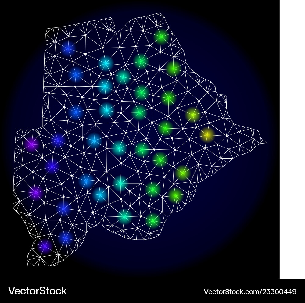 Polygonal network mesh map botswana Vector Image
